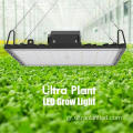 Βαθύ κόκκινο 660nm LED Grow Light for Bloom